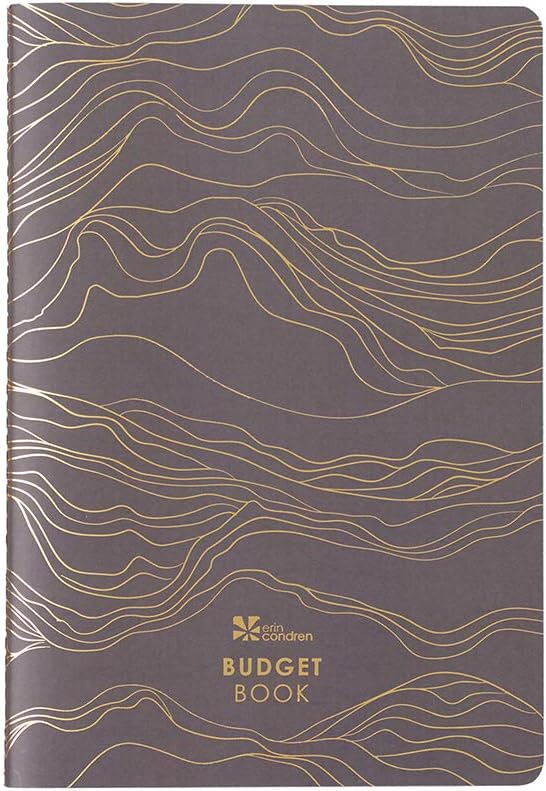 Erin Condren Designer Petite Planner - Budget Book Edition 4. Includes Spending Habit Summary, Income and Saving Tracking, and Bill Tracking. Functional Stickers