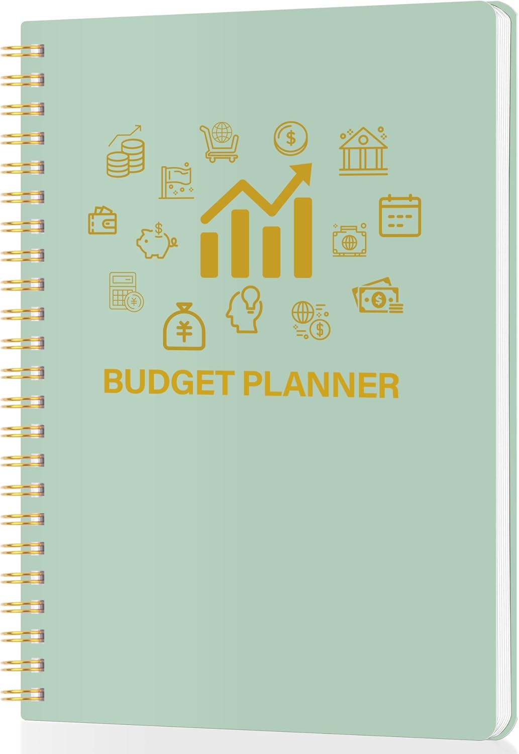 Budget Planner - Monthly Financial Planner Organizer with Expense Budget Book/Expense Tracker Notebook/Accounting Book to Manage Your Money Effectively, Start Anytime, A5(5.8